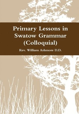 bokomslag Primary Lessons in Swatow Grammar (Colloquial)