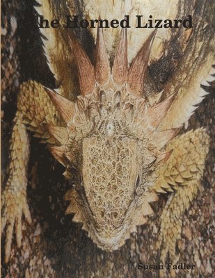 Horned Lizard
