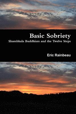 bokomslag Basic Sobriety