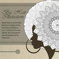 bokomslag Big Hair Illustrations