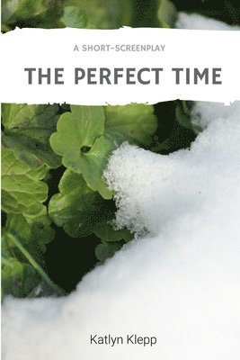 The Perfect Time 1