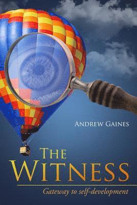 bokomslag Witness