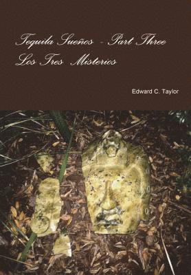 Edward C Taylor, Edward C. Taylor - Tequila Sueños Part Three, Inbunden