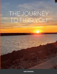 bokomslag The Journey To Find You