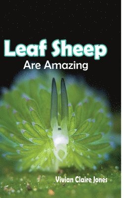 bokomslag Leaf Sheep Are Amazing