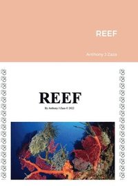 bokomslag Reef