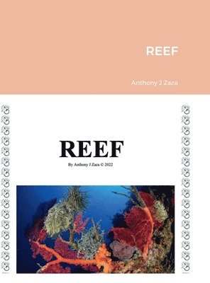 Reef 1