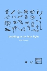 bokomslag budding in the blue light