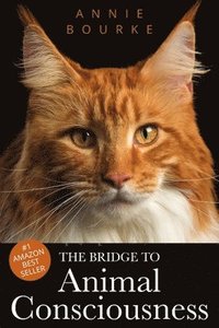bokomslag Bridge to Animal Consciousness (paperback)