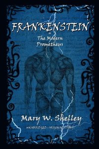 bokomslag Frankenstein