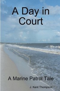 bokomslag A Day in Court