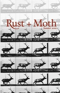 bokomslag Rust and Moth