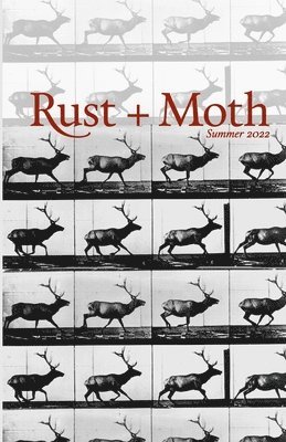 Rust and Moth 1