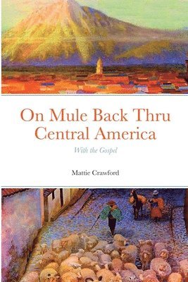 bokomslag On Mule Back Thru Central America