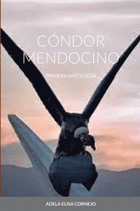 bokomslag Cndor Mendocino