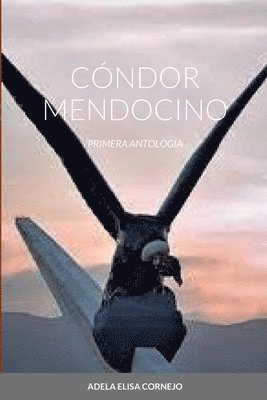 bokomslag Cóndor Mendocino