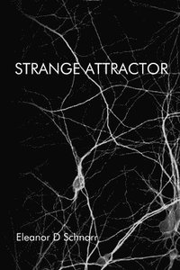 bokomslag Strange Attractor