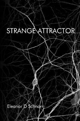 bokomslag Strange Attractor