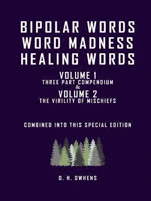 bokomslag Bipolar Words Word Madness Healing Words