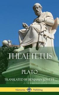 bokomslag Theaetetus (Classics of Ancient Greek Philosophy) (Hardcover)