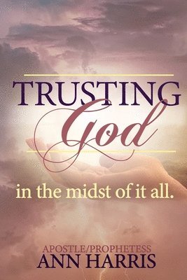 bokomslag Trusting God in the Midst of it All