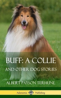 bokomslag Buff; A Collie