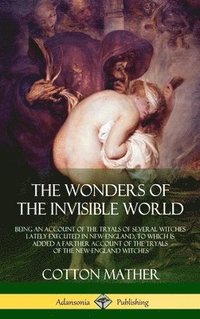 bokomslag Wonders of the Invisible World