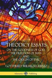 bokomslag Theodicy Essays