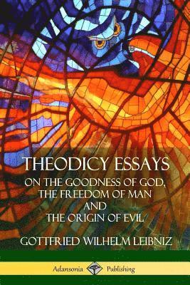 bokomslag Theodicy Essays