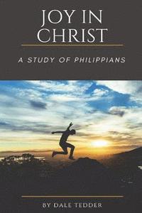 bokomslag Joy In Christ