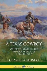 bokomslag A Texas Cowboy