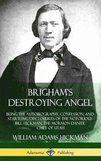 bokomslag Brigham's Destroying Angel