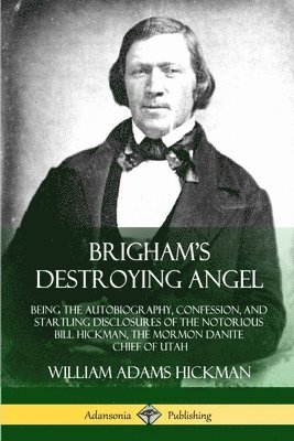 bokomslag Brigham's Destroying Angel