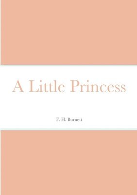 bokomslag Little Princess
