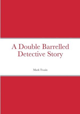 bokomslag Double Barrelled Detective Story