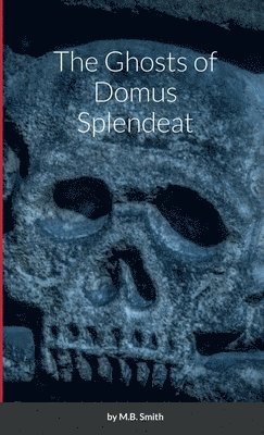 bokomslag Ghosts of Domus Splendeat