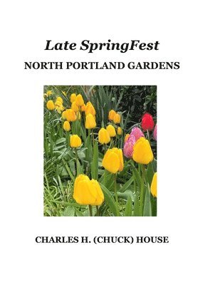 Late SpringFest 1