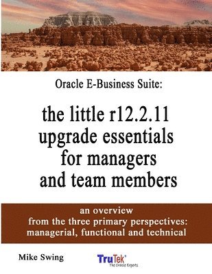 Oracle E-Business Suite 1