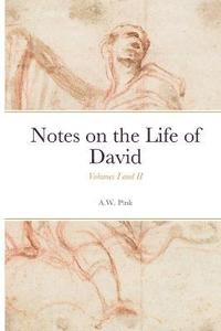 bokomslag Notes on the Life of David