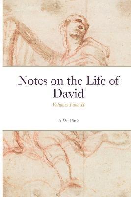 A W Pink, J Scott Husted - Notes on the Life of David, Häftad