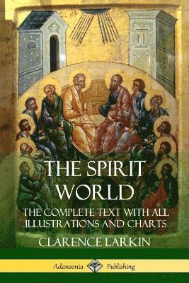 bokomslag Spirit World