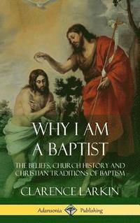 bokomslag Why I am a Baptist
