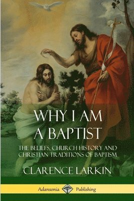 bokomslag Why I am a Baptist
