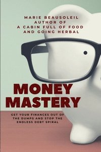 bokomslag Money Mastery