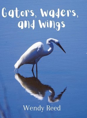 bokomslag Gators, Waders, and Wings