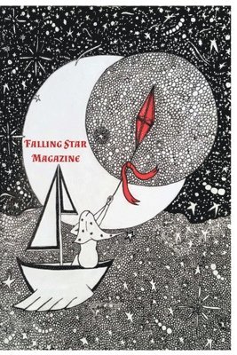 bokomslag Falling Star 2018