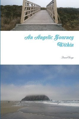 bokomslag Angelic Journey Within