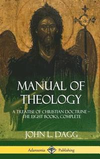 bokomslag Manual of Theology