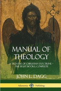 bokomslag Manual of Theology