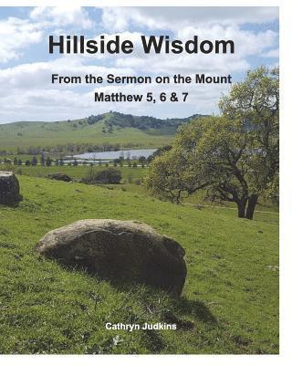 bokomslag Hillside Wisdom